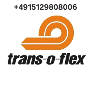 Soferi cat B Germania