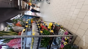 Angajez vânzătoare florărie 