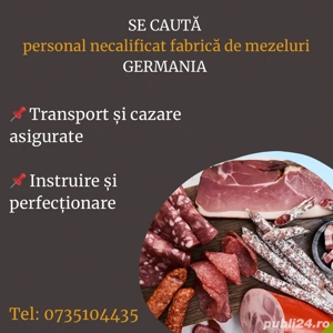Muncitori necalificati fabrica de carnati si mezeluri- Germania 