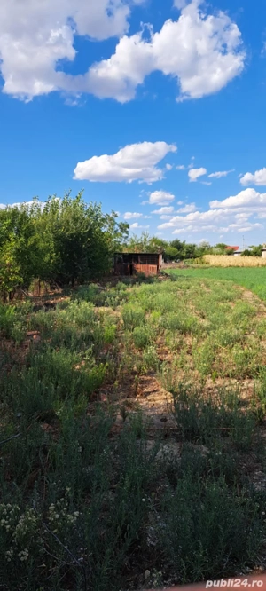 Vand  teren intravilan  - imagine 2 Vand  teren intravilan  - imagine 2