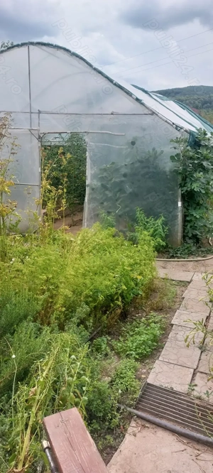 Proprietar  vând vilă.  - imagine 3