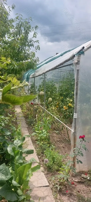 Proprietar  vând vilă.  - imagine 13