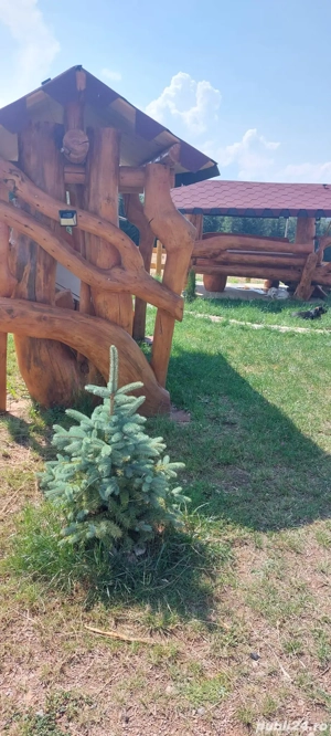  2cabane de inchiriat 12 pers - imagine 5