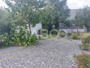 Casa de vanzare care poate fi caminul tau dar si afacerea ta Cisnadie - imagine 12