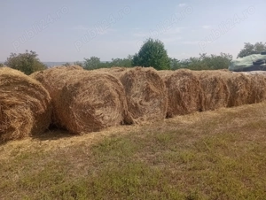 Baloți de paie 160 