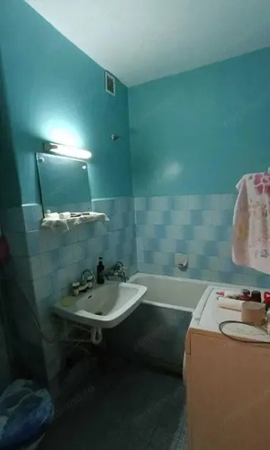 Aleea Carpati - Vanzare apartament 1 camera - imagine 3