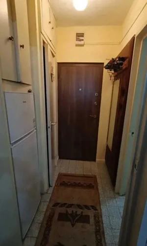 Aleea Carpati - Vanzare apartament 1 camera - imagine 4