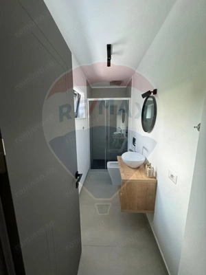 Vanzare Vila la munte - imagine 5