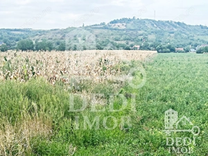 Teren extravilan Lugasu de jos, Bihor - imagine 4 Teren extravilan Lugasu de jos, Bihor - imagine 4