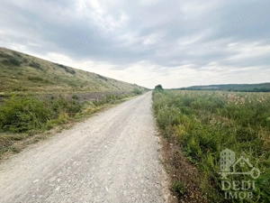 Teren extravilan Lugasu de jos, Bihor - imagine 3 Teren extravilan Lugasu de jos, Bihor - imagine 3