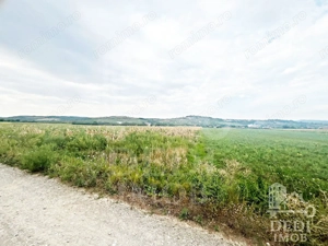 Teren extravilan Lugasu de jos, Bihor - imagine 1 Teren extravilan Lugasu de jos, Bihor - imagine 1