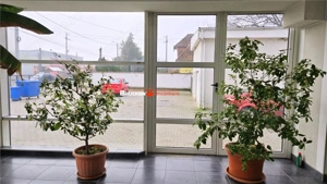 Showroom cu hala si spatiu locativ – Marghita, Bihor - imagine 4