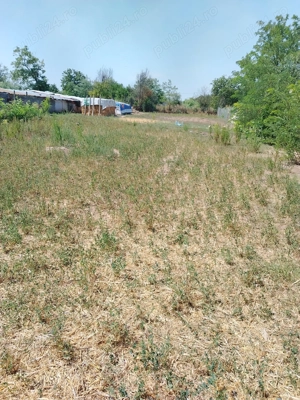 Casă de vânzare în sat LANURILE  - imagine 23