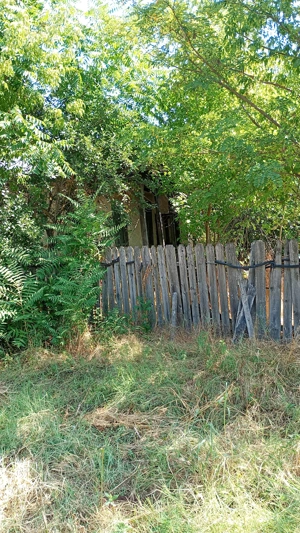 Casă demolabilă cu teren 2500 mp sat Plevna com Lupșanu Călărași apă curent  15000 Euro variante - imagine 4