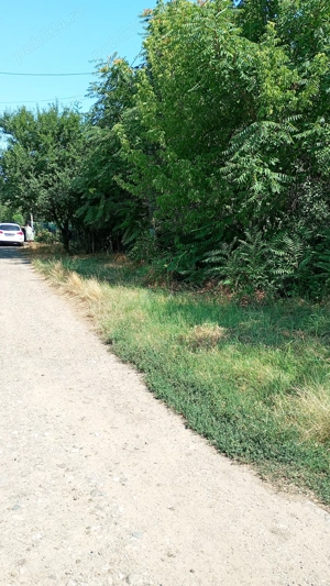 Casă demolabilă cu teren 2500 mp sat Plevna com Lupșanu Călărași apă curent  15000 Euro variante - imagine 5