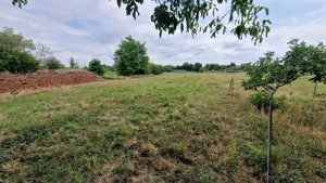 Casa boiereasca   Giulvaz- 717 - imagine 10