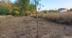 Doua terenuri zona A0, schimb - imagine 6