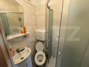 Garsoniera de vanzare, 22 mp, zona Astra - imagine 4