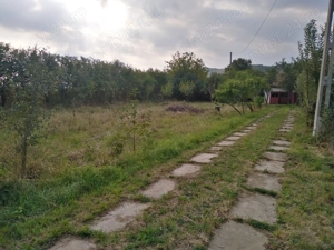 Vând casă compusă din 2 imobile, cu teren la țară în sat Abuș jud. Mureș  - imagine 7 Vând casă compusă din 2 imobile, cu teren la țară în sat Abuș jud. Mureș  - imagine 7