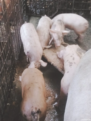 de vanzare  - imagine 2