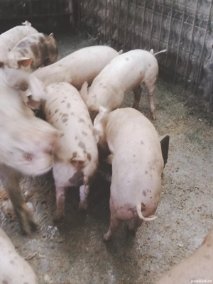 de vanzare  - imagine 4