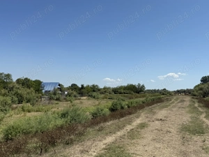 Investiție în Delta Dunării   teren cu deschidere canal, la 300 m de Dunăre (Gorgova, brațul Sulina) - imagine 7