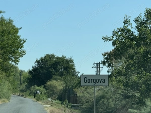 Investiție în Delta Dunării   teren cu deschidere canal, la 300 m de Dunăre (Gorgova, brațul Sulina) - imagine 2