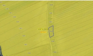 Teren Trifesti, ID: R2694743 - imagine 4