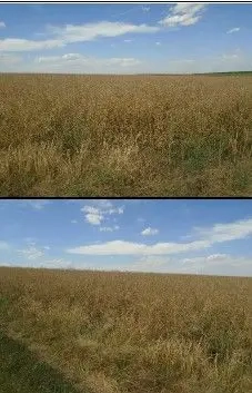 Teren Trifesti, ID: R2694743 - imagine 3