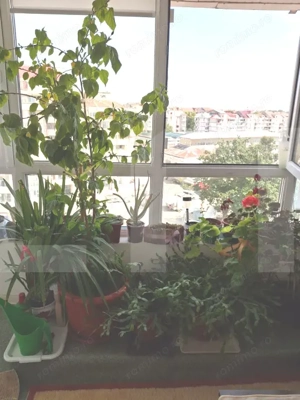 De vânzare – Apartament 2 camere, ultra-central, Botoșani - imagine 5