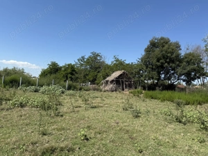 Investiție în Delta Dunării   teren cu deschidere canal, la 300 m de Dunăre (Gorgova, brațul Sulina) - imagine 5