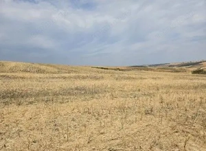 Teren Negureni, cota parte 1/8, ID: R2695094