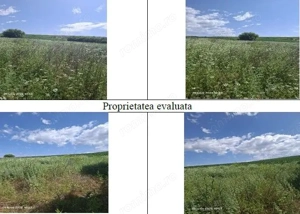 Teren Balteni, cota parte 1/4, ID: R2695268 - imagine 4