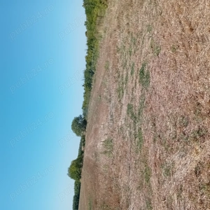 teren intravilan - imagine 3