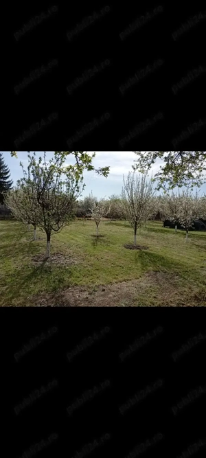 Vând TEREN,loc de casa in Coteana,jud Olt 