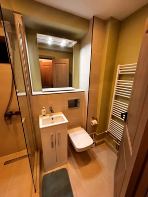 Apartament 2 camere semidecomandat, etaj 1 , zona Curtea de Apel  - imagine 13