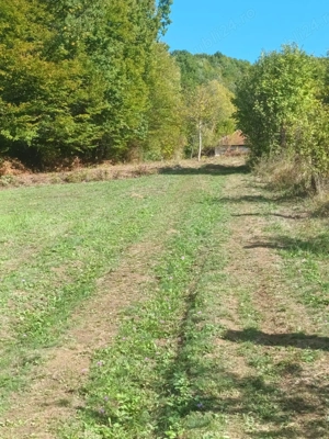 Teren de vanzare in Daesti, jud. Valcea