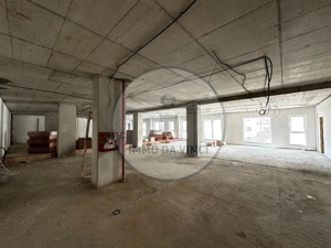 Spatii birouri 142mp si 194mp Marasti Iulius Mall finisaje la cerere - imagine 14