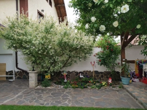 Casa Metro Alt Stil  - imagine 9