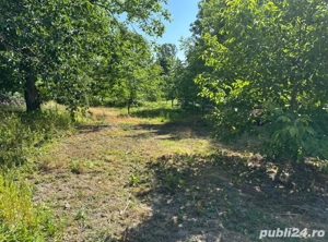 vand teren intravilan pocioveliste 8 ari