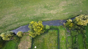 Casă unică în Prejmer, cu teren generos - imagine 3