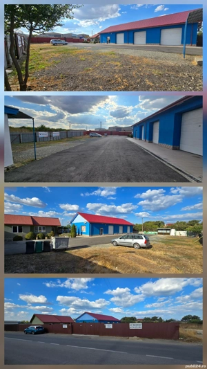 Teren intralivan + imobile de vanzare - imagine 6