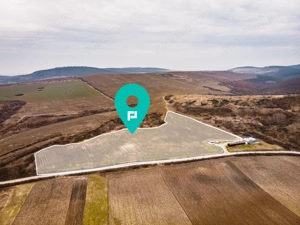 Vie de 115 Hectare în satul Dud, județul Arad