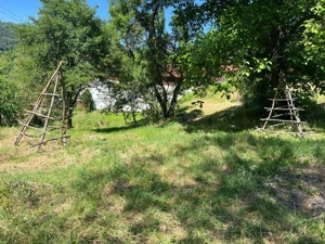 Teren 4996 mp zona de munte Comuna Arefu-Capataneni Arges - imagine 9