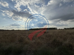 Teren 1000 mp de vanzare/ Carcea/ Industrial - imagine 4