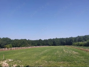 Vând 2 parcele de terenuri intravilane cu utilități , strada Stejarului, Lăpusel la 11 Ari  parcelă - imagine 8