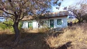 Teren și casa bătrânească 17 euro mp