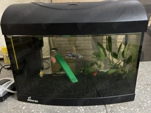 Acvariu 20L de pești dotat cu tot echipamentul 