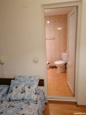 Cazare Vila Babes - imagine 4