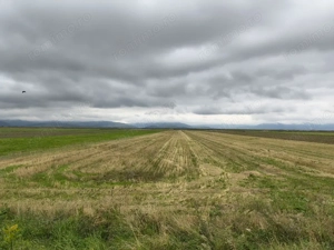 Teren intrare Prejmer - imagine 5 Teren intrare Prejmer - imagine 5